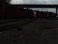 Northbound BNSF Freight Train