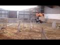 videos de photo 025
