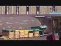 Mcmurdo Station