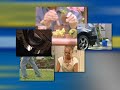 Aleve - NAPSTV - Keep Outdoor Activities Pain Free Aleve - NAPSTV - Keep Outdoor Activities Pain Free