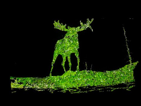 Image de prévisualisation YouTube