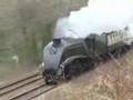 Bittern - 60019 - steaming down the Golden Valley to Stroud