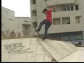 Zered Basset- Divercity