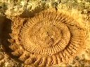 Parque Geológico Subbética Cordobesa