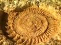 Parque Geológico Subbética Cordobesa
