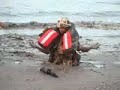 British \"elite\" troops