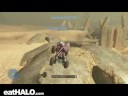 FLYING MONGOOSE