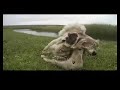 Trout Bum Diaries Vol 1 - Patagonia