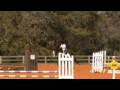 Pine Hill Stadium Test