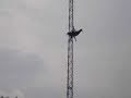 SKY COASTER Selva Magica NKYa2 !!