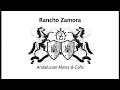 andalusian mares and colts rancho zamora.mp4