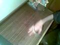 videos de Ext. TA sextuple bust by Gildor