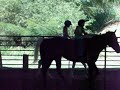 Kids Horse Camp