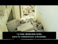 Revolutiva - Palestina