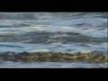 bodyboarding chile Antofagasta Cupula