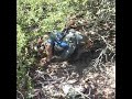 MarrowTrek: Gila NF Bushwhack