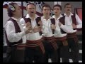 Rasa Pavlovic - Vetar duva, sljive opadaju