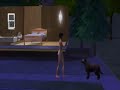 The Sims 2: Pets video