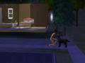 [the sims 2 pets] Turning into a werewolf :P