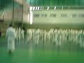 karate do sagon
