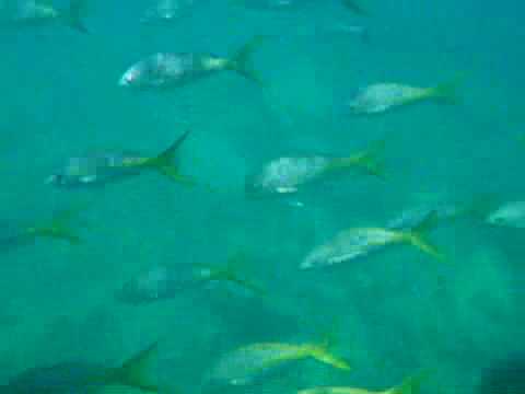 Castries, St. Lucia