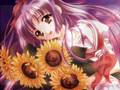 Amv- So Beautiful