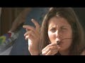 wes-anderson-viaje-a-darjeeling-trailer-spanish-subtitulos.html