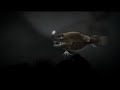 The Angler (after effects animation) The Angler (after effects animation)