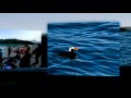 alaska_high_res.mp4