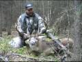 Alberta 196" Whitetail Bowhunting