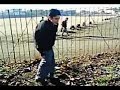 Lo mejor de Gardella Parte 1 Lo mejor de Gardella Parte 1