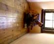 gitarist buragi izmir amat�r tv m�zik guitar burak