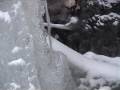 Winter Wald Bach