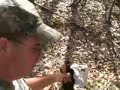 Indiana Morel Mushroom Hunting - Spring 2008