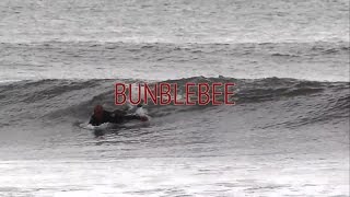 BUNBLEBEE