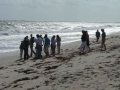 Marine Bio Beach Trip my class took a trip to the beach and my friend and I took some pictures :)