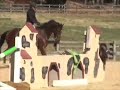 Event Jumper Horse Prospect For Sale...SOLD!!!!
