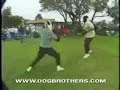 Dog Brothers Highlight Dog Brothers Highlight