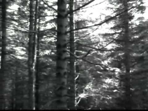 Aythis - Glacia (Black metal version)