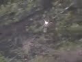 2008 blacktail deer kill shot and roll long range