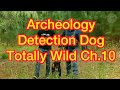 Migaloo Ch 10 Totally Wild