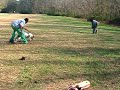 PATRON WORKING
