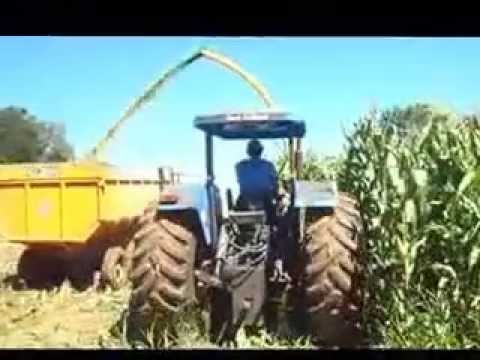 Ensiladeira JF 2 linhas Adaptada na frente do trator Linha Salgado Ipumirim SC