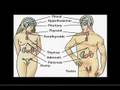 videos de Men & Women. The Differences?