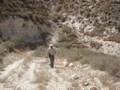 NPA Jordan Landmine Retrofit Survey