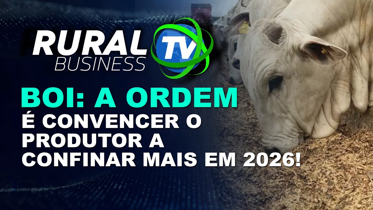 BOI: A ORDEM É CONVENCER O PRODUTOR A CONFINAR MAIS EM 2026!