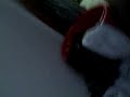 snakes in a house prevew