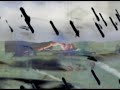 Garcillus rex Garcillus rex
