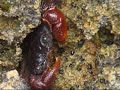 Namibe   Moçâmedes  Angola -  part 3