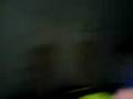 videos de Warwick racecourse wildlife